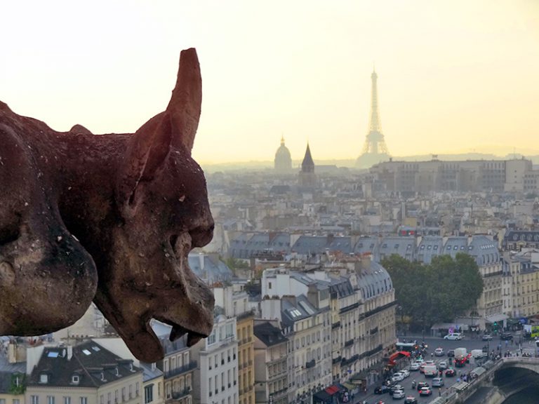 Paris-from-Notre-Dame-DSC04422-800