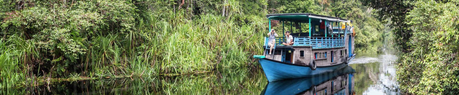 Tanjung Puting National Park