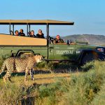 تور نوروزی آفریقای جنوبی فروردین1405